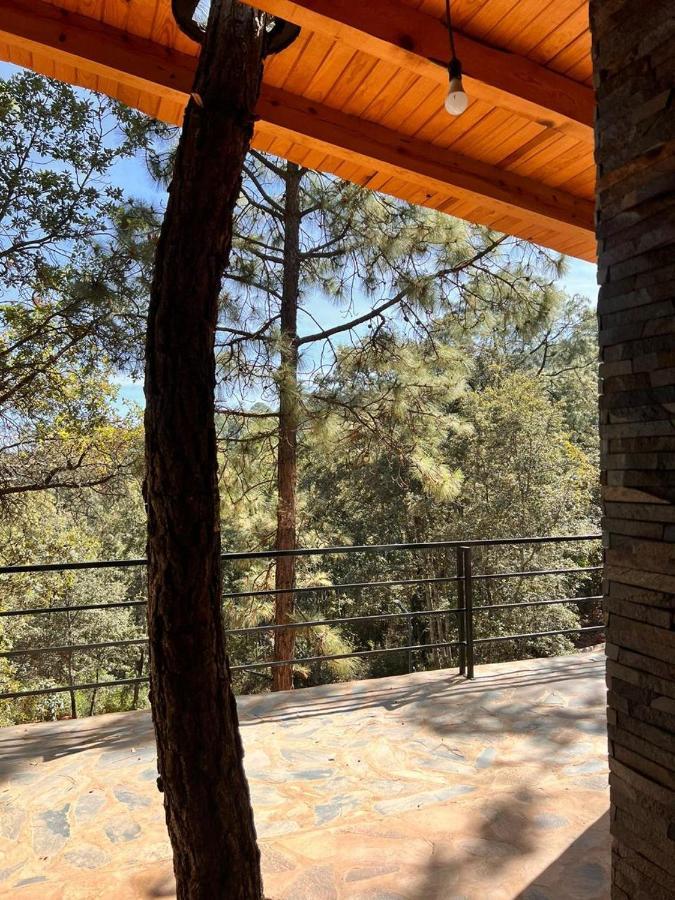 Cabana "Alexa", En El Corazon Del Bosque De Mazamitla Eksteriør billede