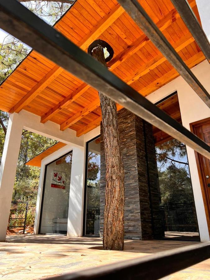 Cabana "Alexa", En El Corazon Del Bosque De Mazamitla Eksteriør billede