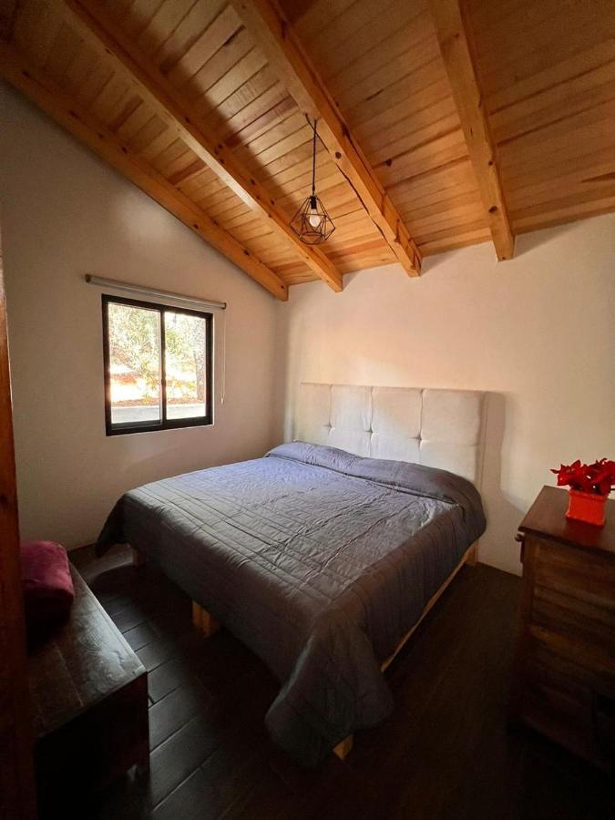 Cabana "Alexa", En El Corazon Del Bosque De Mazamitla Eksteriør billede